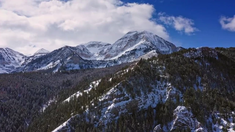 Blue Talon Creative hero background